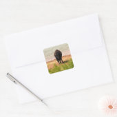 Bizons bij het water vierkante sticker (Envelop)