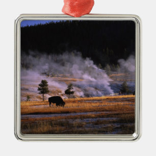 Bizons grazen in het Upper Geyser Basin Metalen Ornament