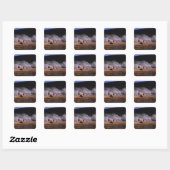 Bizons grazen in het Upper Geyser Basin Vierkante Sticker (Vel)