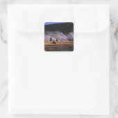 Bizons grazen in het Upper Geyser Basin Vierkante Sticker (Tas)