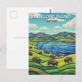 Bizons in Antelope Island State Park Utah Briefkaart (Voorkant / Achterkant)
