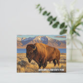 Bizons in Antelope Island State Park Utah Briefkaart (Staand voorkant)