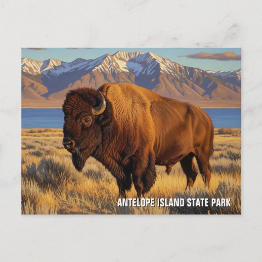 Bizons in Antelope Island State Park Utah Briefkaart (Voorkant)