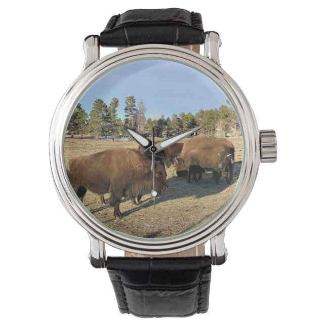 Bizons in Colorado Horloge (Voorkant)