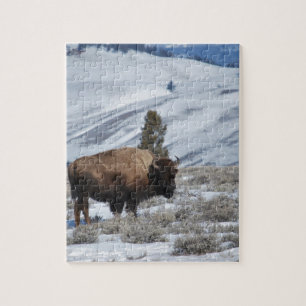 Bizons in de Winterbergen van Yellowstone Legpuzzel