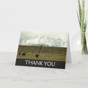 Bizons in Grand Teton National Park Fotografie Bedankkaart