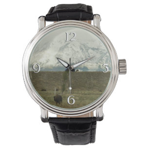 Bizons in Grand Teton National Park Fotografie Horloge
