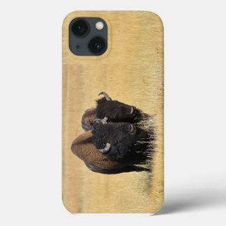 Bizons in Nationaal Park Yellowstone Case-Mate iPhone Case