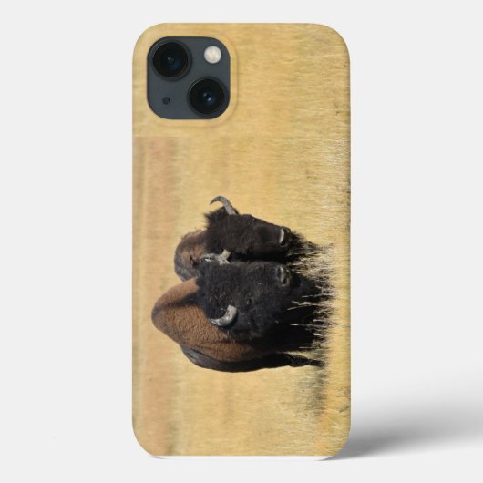 Bizons in Nationaal Park Yellowstone Case-Mate iPhone Case (Achterkant)