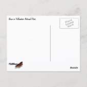 Bizons in Yellowstone National Park Briefkaart (Achterkant)