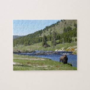 Bizons in Yellowstone National Park Legpuzzel
