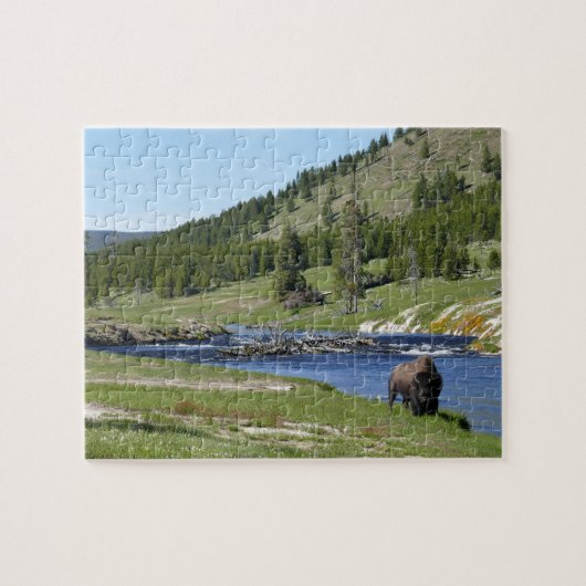 Bizons in Yellowstone National Park Legpuzzel (Horizontaal)
