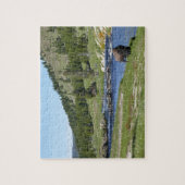 Bizons in Yellowstone National Park Legpuzzel (Verticaal)