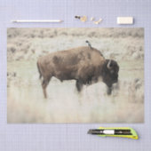 Bizons van Yellowstone met vogel Tissuepapier (Craft)