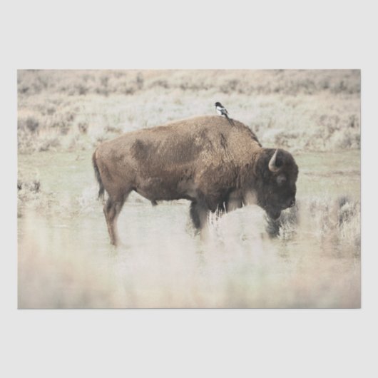 Bizons van Yellowstone met vogel Tissuepapier (Voorkant)