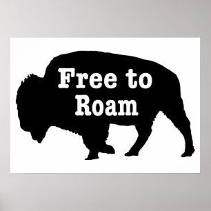 Bizons vrij om te zwerven poster