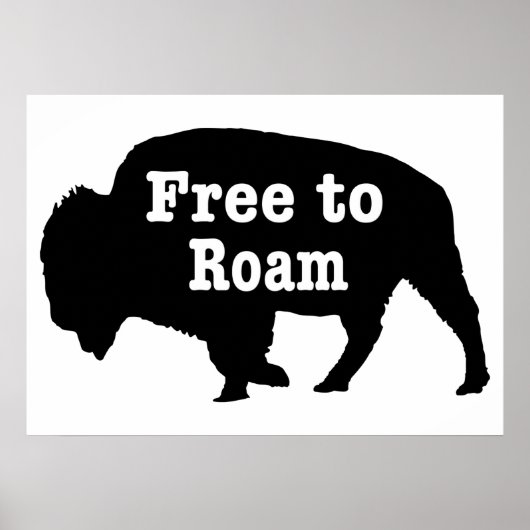 Bizons vrij om te zwerven poster (Voorkant)