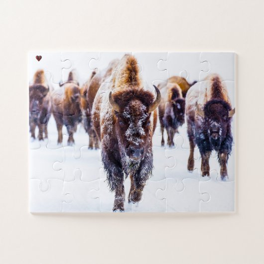 Bizons Yellowstone Wyoming Legpuzzel (Horizontaal)