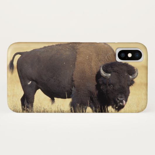 Bizonstier in Yellowstone National Case-Mate iPhone Case (Achterkant (horizontaal))
