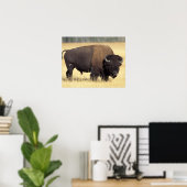 Bizonstier in Yellowstone National Poster (Thuiskantoor)