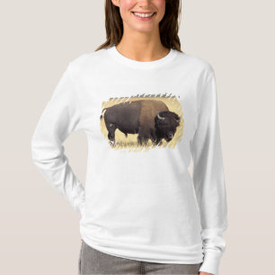 Bizonstier in Yellowstone National T-shirt