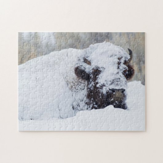 Bizonstier, winterjas legpuzzel (Horizontaal)