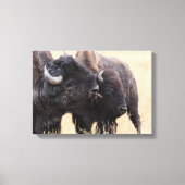 bizonvriendschap canvas afdruk (Voorkant)