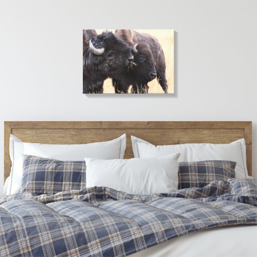 bizonvriendschap canvas afdruk (Insitu (Slaapkamer))