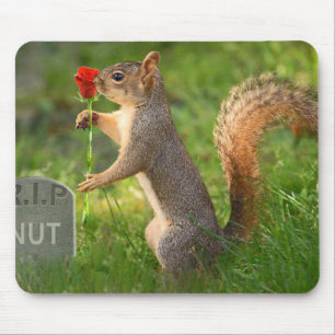 BizzareWorld Mourning Squirrel Muismat