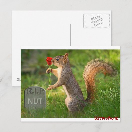 BizzareWorld Mourning Squirrel Post Cards Briefkaart (Voorkant / Achterkant)