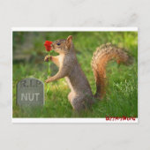 BizzareWorld Mourning Squirrel Post Cards Briefkaart (Voorkant)