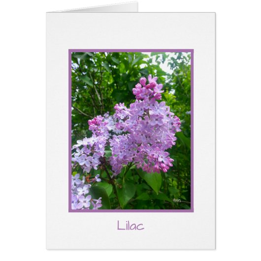 BJH "Garden Retreat" Collectie Wenskaart (Voorkant)