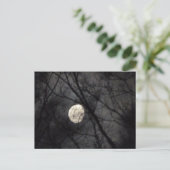 BL- Briefkaart Natuur met moon en bomen (Staand voorkant)