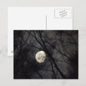 BL- Briefkaart Natuur met moon en bomen (Voorkant / Achterkant)