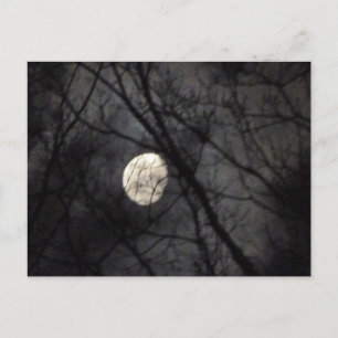 BL- Briefkaart Natuur met moon en bomen