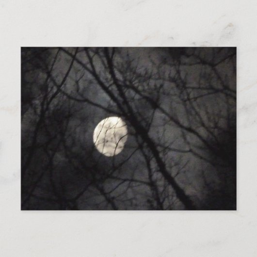 BL- Briefkaart Natuur met moon en bomen (Voorkant)