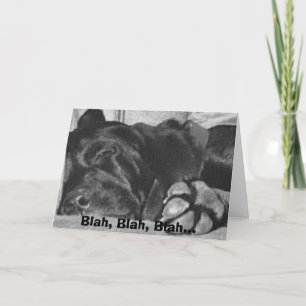 bla , bla , bla , bla kaart