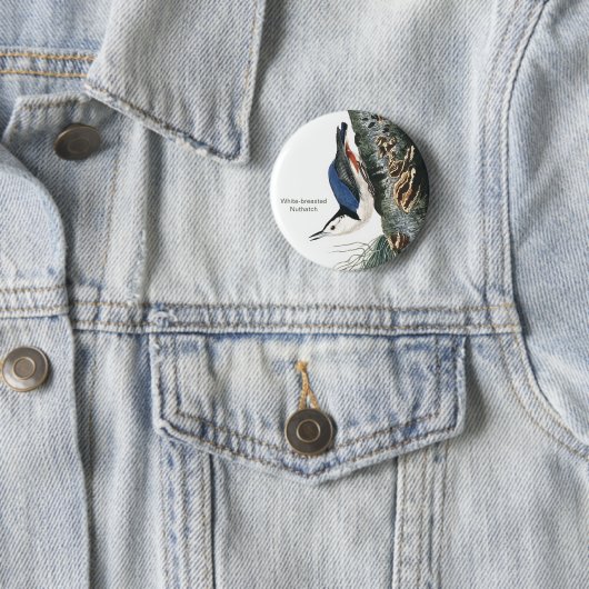 Blaas-gebluste Nuthatch, Audubon Bird Mode Ronde Button 5,7 Cm (In situ)