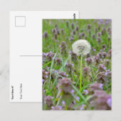 Blaas het niet! paardebloem briefkaart (Voorkant / Achterkant)