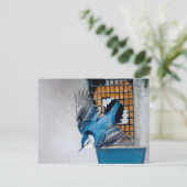 Blaas in sneeuw - oorspronkelijke foto briefkaart (Staand voorkant)