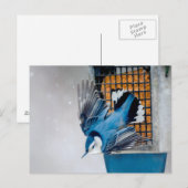 Blaas in sneeuw - oorspronkelijke foto briefkaart (Voorkant / Achterkant)