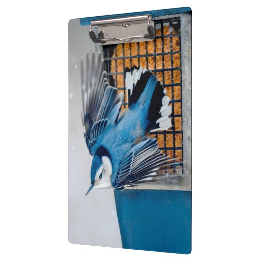 Blaas in sneeuw - oorspronkelijke foto klembord (Links)