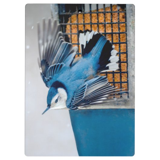 Blaas in sneeuw - oorspronkelijke foto klembord (Achterkant)