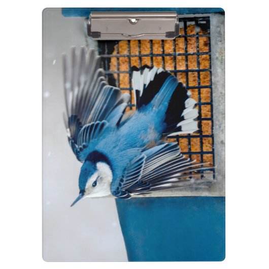 Blaas in sneeuw - oorspronkelijke foto klembord (Voorkant)