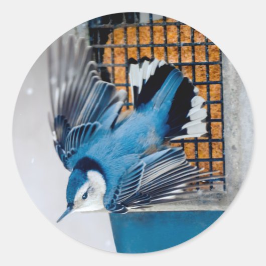 Blaas in sneeuw - oorspronkelijke foto ronde sticker (Voorkant)