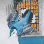 Blaas in sneeuw - oorspronkelijke foto sticker (Voorkant)