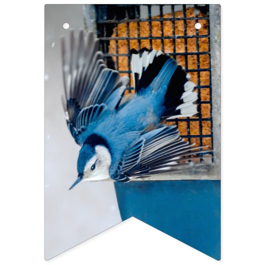 Blaas in sneeuw - oorspronkelijke foto vlaggetjes (Eerste vlag)