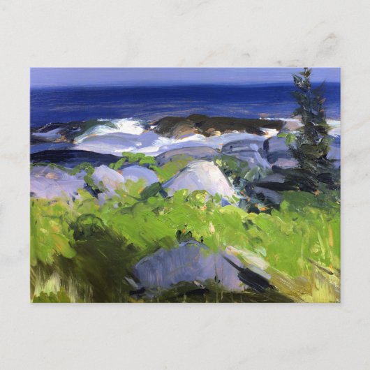 Blaasbalg - Met wijnstok begroeide kust, Monhegan Briefkaart (Voorkant)