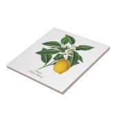  blaasbloem met botanische lonten tegeltje (Zijkant)