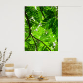 Blaasboombladeren Poster (Keuken)